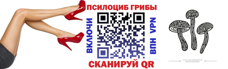 где найти   Зеленогорск  ссылка на мегу как зайти  Галлюциногенные грибы прущие грибы 